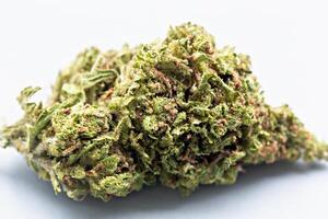 Detailed view of dried cannabis bud with trichomes on light background, perfect for medical, recreational and botanical content usage. Dry cannabis flower macro close-up photo