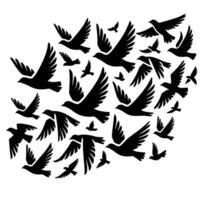 A flock of birds flying in the air vector