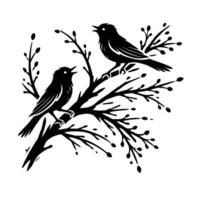 Two birds on a branch vector