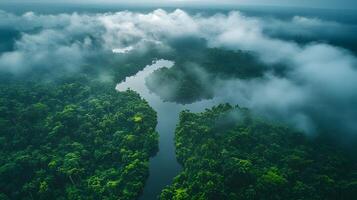 Precision climate monitoring tools tracking carbon levels in protected rainforest environment photo