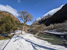 Snow-Covered Trail - A Serene Path by a Stream Under Snow-Capped Peaks photo