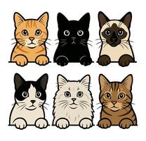 Illustrated Cat Faces in Various Breeds and Fun, Playful Expressions vector