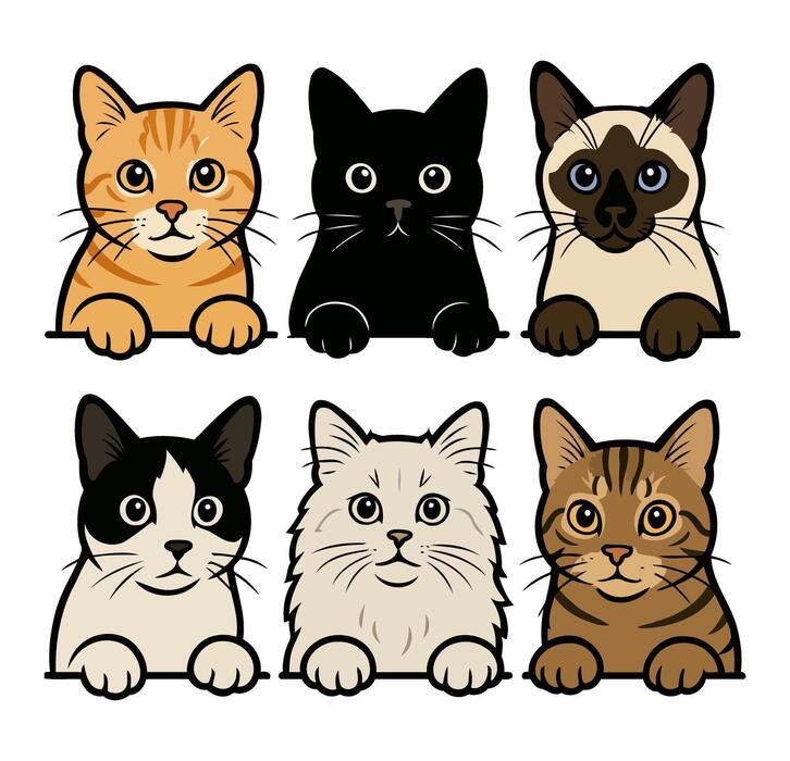 illustrated-cat-faces-in-
