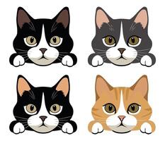 Adorable Illustrations of Cats with Different Color Combinations and Poses vector