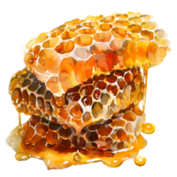 close-up showcases the intricate structure of watercolor honeycomb, with a mesmerizing cascade of golden, viscous honey flowing freely, a sweet treat. png