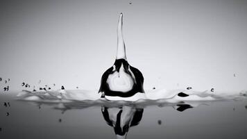 Experience a Dynamic Water Splash in a striking Monochrome setting that captivates attention video
