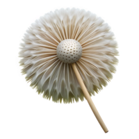 beautiful traditional Close-up of a single dandelion seedhead authentic png