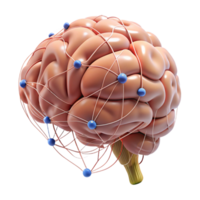 vibrant modern High-resolution 3D model of a human brain with neural pathways highlighted professional png