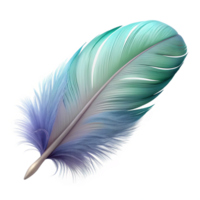 beautiful vintage One feather, light and fluffy genuine png