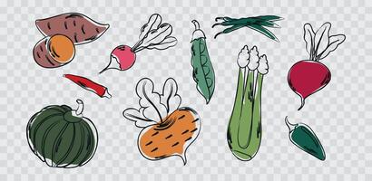Set collection of different vegetables wit grunge sketched outline. Eco healthy food vegan concept. vector