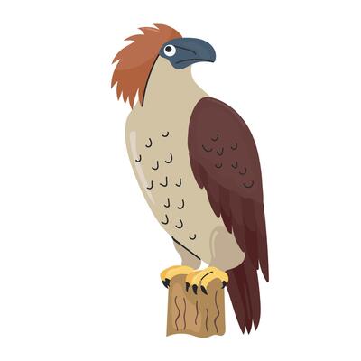 Philippine eagle icon clipart avatar logotype isolated illustration
