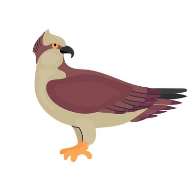 Osprey icon clipart avatar logotype isolated illustration