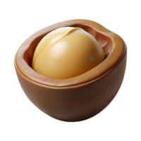 magnificent rustic Macadamia nut in shell authentic png