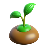 wonderful contemporary Green sprout emerging from seed authentic png