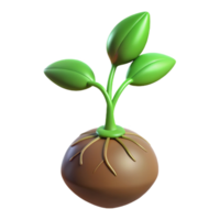 elegant rustic Single sprouting seed with roots and leaves 4K png