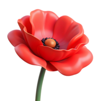 impressive minimalist Open poppy flower, red petals authentic png