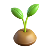 stunning rustic One sprouting seedling high resolution png