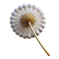 elegant abstract Open dandelion seed head professional png