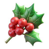 wonderful minimalist Branch of holly with berries authentic png