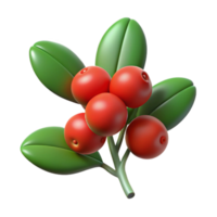 magnificent rustic Mistletoe sprig with berries high resolution png