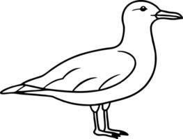 Simple Seagull Line Art Minimalist Bird Sketch for Coastal Designs eps vector