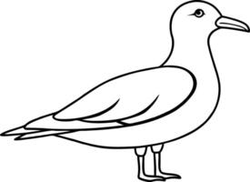 Simple Seagull Line Art Minimalist Bird Sketch for free vector