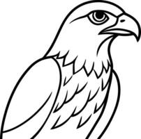 Sharp Hawk Line Art Predatory Bird Outline for Logos EPS vector
