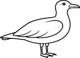 Simple Seagull Line Art Minimalist Bird Sketch for Designs vector