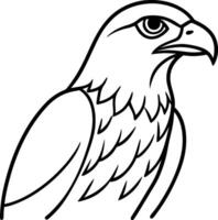 Sharp Hawk Line Art Predatory Bird Outline for download vector