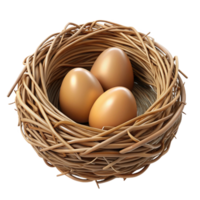 magnificent creative Empty bird's nest made of twigs high quality png