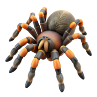 serene rustic A crawling tarantula high quality png