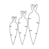 Carrot single-line art creatively captures the essence of a carrot with a single, flowing line, symbolizing both simplicity and natural beauty vector