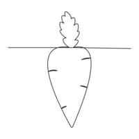 A continuous line brings the humble carrot to life in a minimalistic style vector