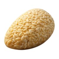 serene abstract Single grain of rice authentic png
