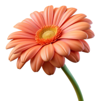 impressive abstract Single gerbera daisy original png