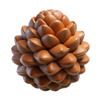 magnificent modern Pine cone closed high resolution png