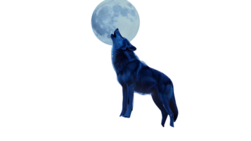 Howling Wolf Under the Full Moon A Mystical Night Scene png
