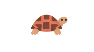 A charming cartoon turtle with a patterned shell perfect for educational materials and childre png