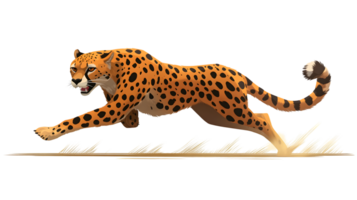 A majestic spotted feline in motion showcasing its agility and power with a dynamic pose again png