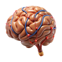 wonderful traditional High-resolution 3D model of a human brain with neural pathways highlighted original png
