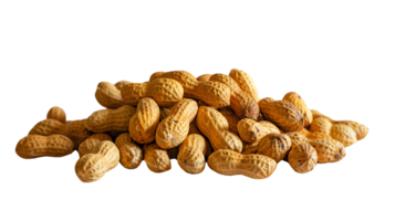 Heap of Freshly Harvested Peanuts on a Black Background Ideal for Culinary and Nutritional Con png