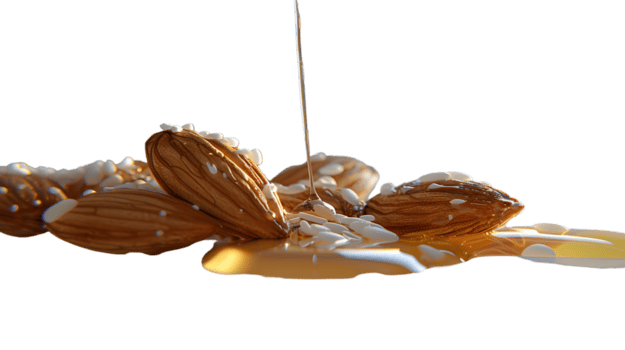 querida garoa sobre nozes uma gostoso e saudável lanche com dourado xarope ideal para culinária a png