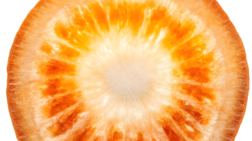 Closeup crosssection of a vibrant orange root vegetable displaying intricate texture and col png
