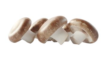 Fresh Edible Fungi Displayed Against a Dark Background for Culinary and Botanical Purposes png