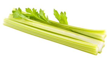 Fresh Green Stalks with Leafy Toppings Isolated on Black Background for Culinary and Health The png