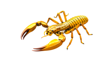 Golden Arachnid with Detailed Claws and Segmented Tail on a Dark Background png