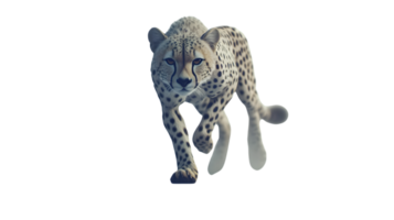 A majestic spotted feline in motion showcasing its agility and grace against a stark backgroun png
