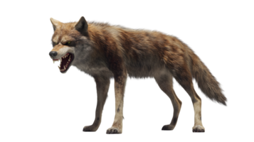 Aggressive Canine Displaying Sharp Teeth and Intense Stare Perfect for Wildlife Danger and P png