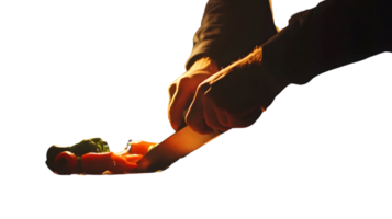 Culinary Precision Chefs Hands Slicing Fresh Vegetables with a Knife in Dramatic Lighting png