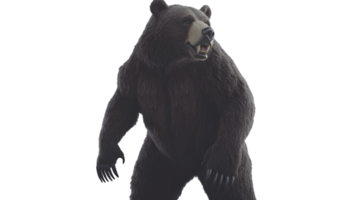 Fierce Bear Standing with Open Mouth Detailed Wildlife Illustration for Nature and Animal Them png